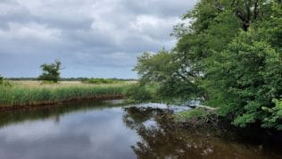 Mass Audubon's Daniel Webster Wildlife Sanctuary, Winslow Cemetery Rd, Marshfield, MA 02050, United States